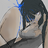 www41432www