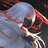 zack1294
