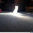 catgod