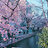 Amaki316