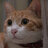 Catte