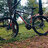 badal25