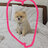 jinyonggoo