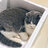 feclipse3