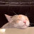 ChillingCat
