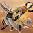 Deathreaper255