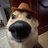 ElDoge3000