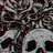 VenomFate