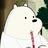 polarf7