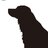 blackdog8492