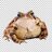 As5ign