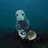 ThesillySeal