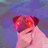 szszszszsz