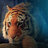 TigerMT