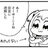 yamataro733