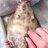 ratsratsratsrats