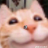 iwantbettergear