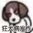 dogxif