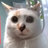 EvilBOBERExist