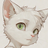 Kotas The Cat
