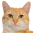 MeongMan