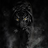 DarkN0vaMods