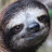 Ki113rSloth