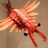Anomalocaris0