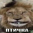 Nekachek