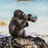 Beermonkey
