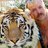 JoeExotic