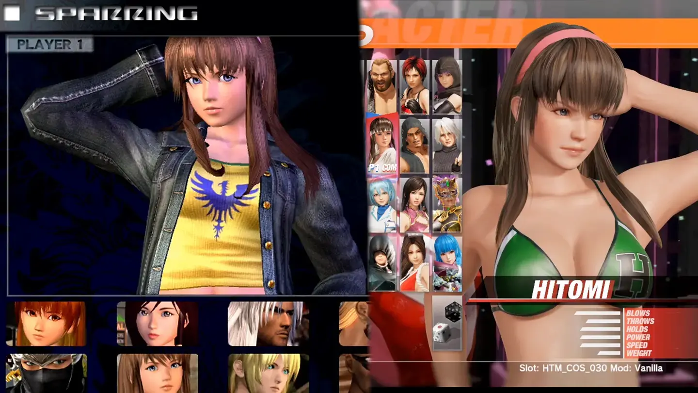 DoA6 Hitomi's Classic DoA3-4 Select Screen Pose