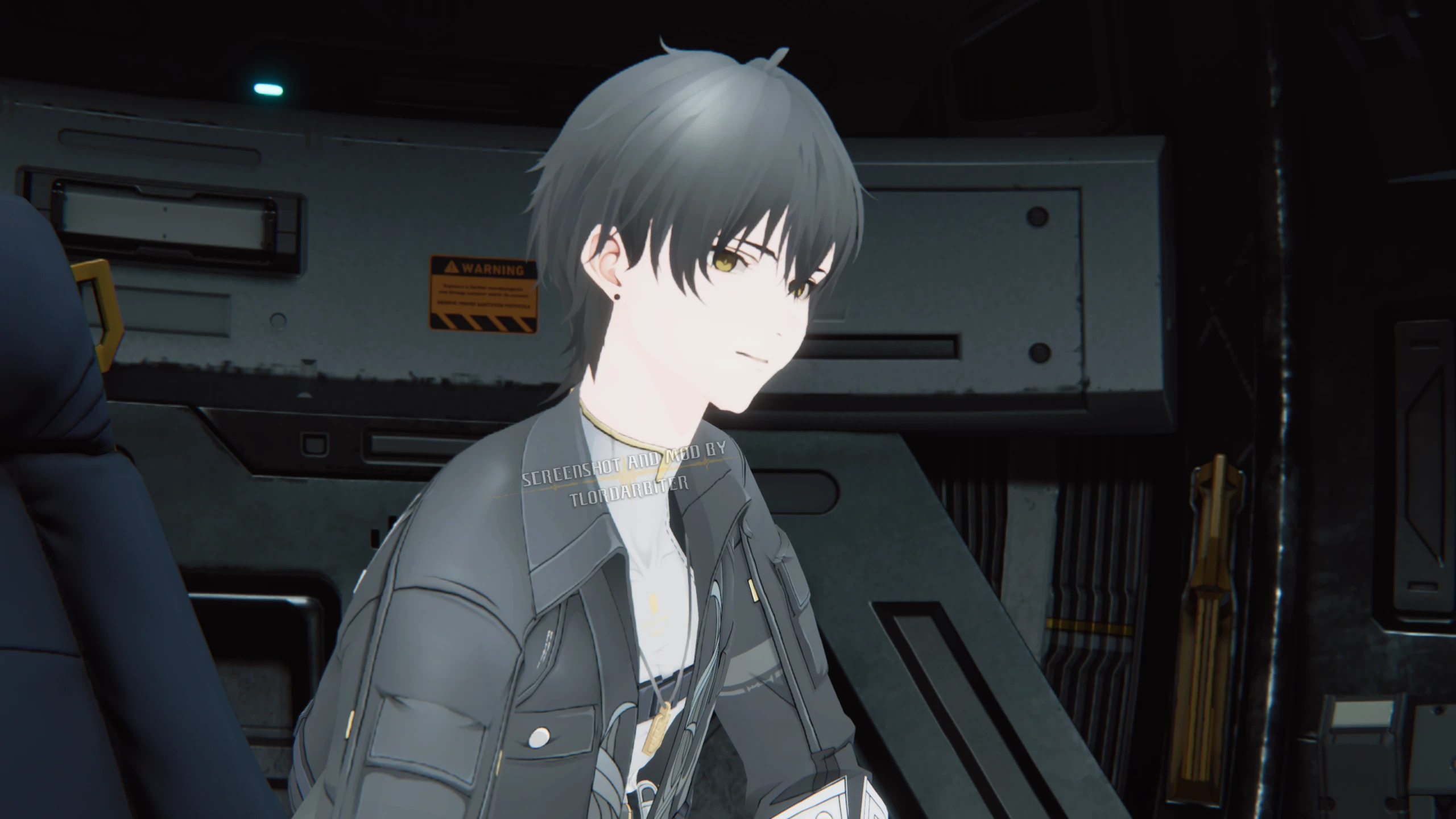 Male Rover (Wuthering Waves) Mod