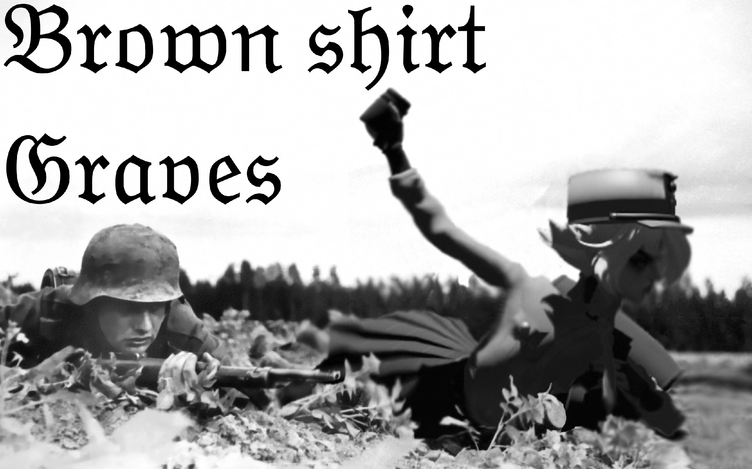 Brown shirt graves