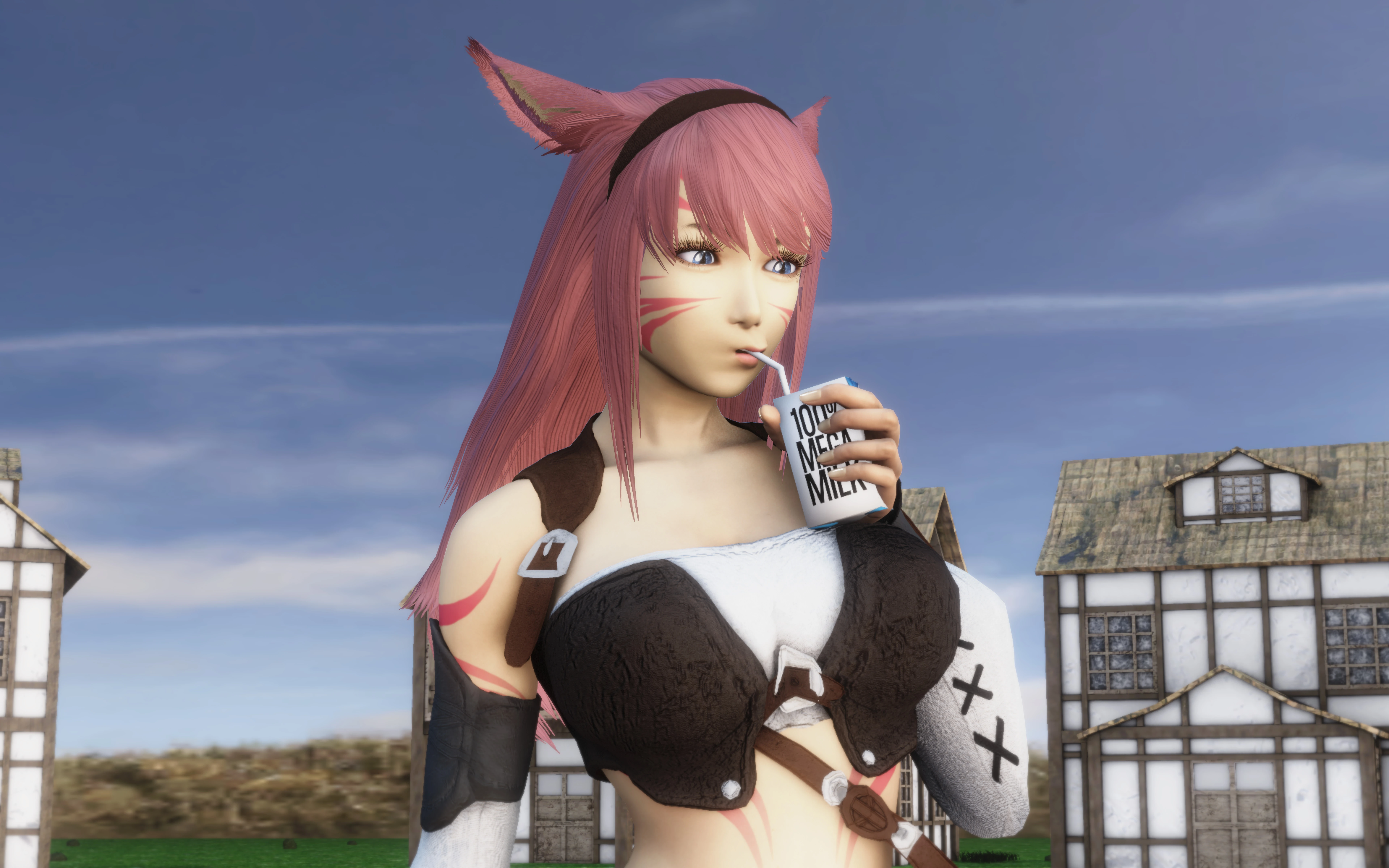 Waifu Milk Carton