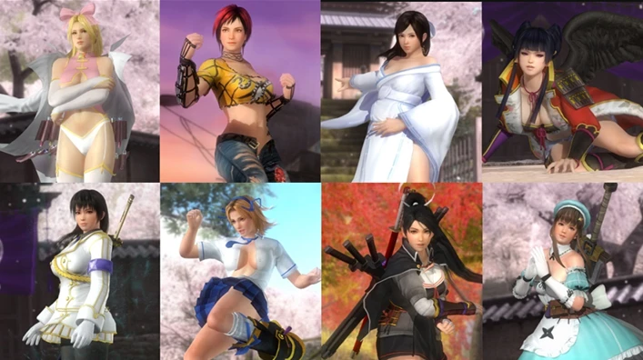 Senran Kagura Costume Set