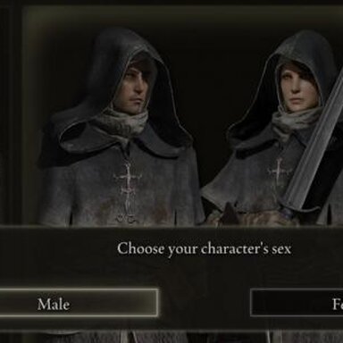 Sex Replaces Body Type